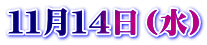 11月14日(水)