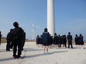 エコツアーA