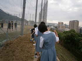 コンテスト準備@