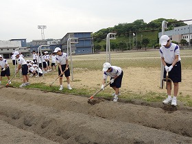 栽培作業@