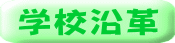 wZv
