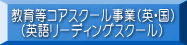 教育等コアスクール事業(英・国) (英語リーディングスクール)