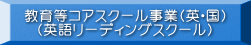 教育等コアスクール事業(英・国) (英語リーディングスクール)