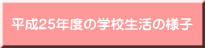 25Nx̊wZ̗lq 