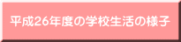 26Nx̊wZ̗lq