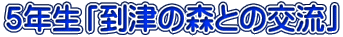 TNuÂ̐XƂ̌𗬁v 