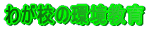 킪Z̊