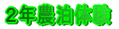 QN_̌