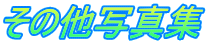 ̑ʐ^W