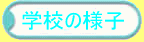 wZ̗lq