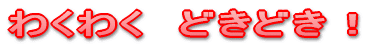 킭킭@ǂǂI 