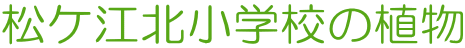 P]kwZ̐A
