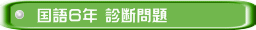 国語６年 診断問題