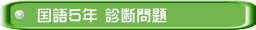 国語５年 診断問題