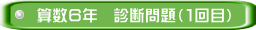 算数６年　診断問題（１回目）