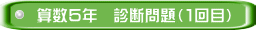 算数５年　診断問題（１回目）