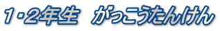 PEQN@񂯂
