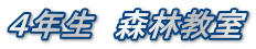 SN@Xы