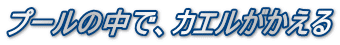 v[̒ŁAJG