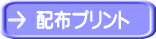 zzvg 