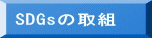 SDGs̎g