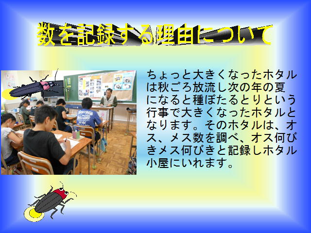 23ページ