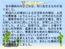 5 ページ
