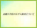 10 ページ