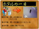 11 ページ