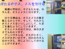 14 ページ