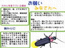 23 ページ