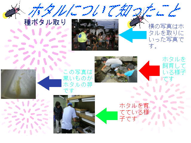 6ページ