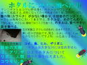 13 y[W