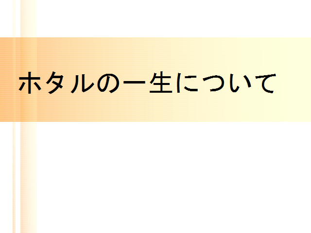 7y[W