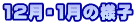 12E1̗lq