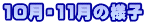 10E11̗lq