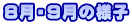 8E9̗lq